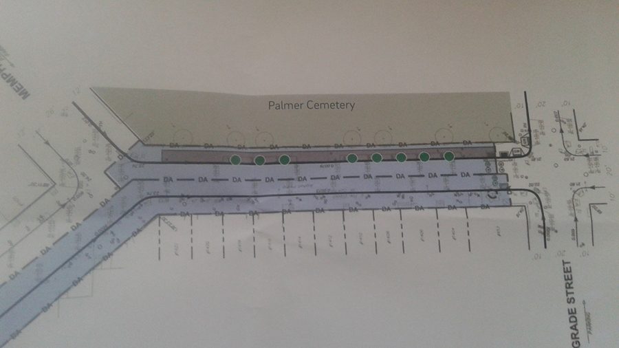 tree trenches